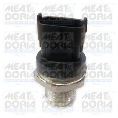Sensor, fuel pressure